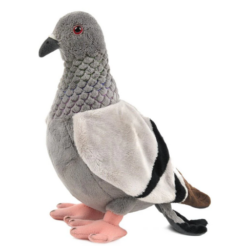 Pepper the pigeon